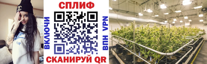 Шишки марихуана Bruce Banner Покров